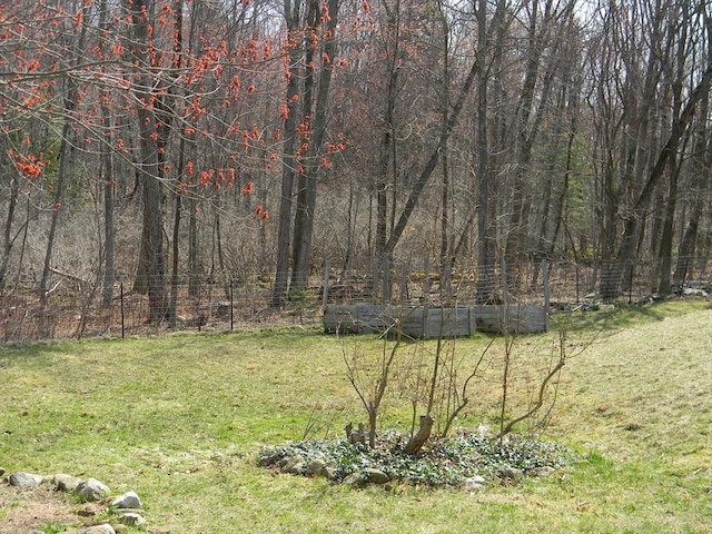 view of yard featuring a view of trees, fence, and a vegetable garden