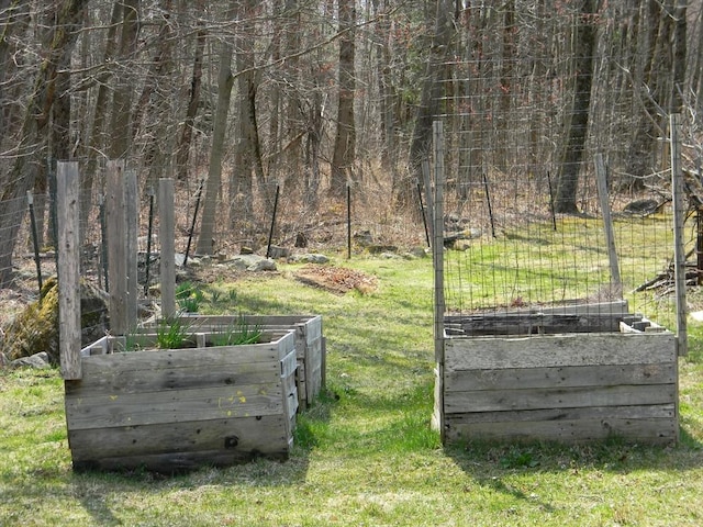 view of yard with a vegetable garden
