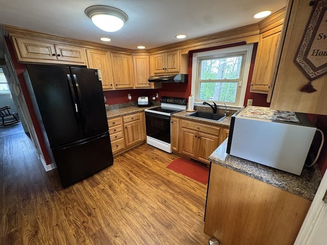kitchen featuring electric range, freestanding refrigerator, a sink, under cabinet range hood, and wood finished floors