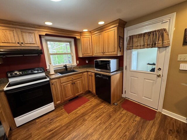 kitchen with electric range, stainless steel microwave, black dishwasher, a sink, and exhaust hood