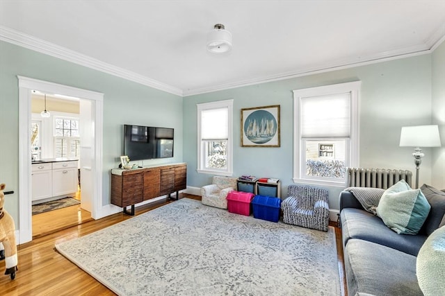 living room featuring hardwood / wood-style flooring, ornamental molding, and radiator