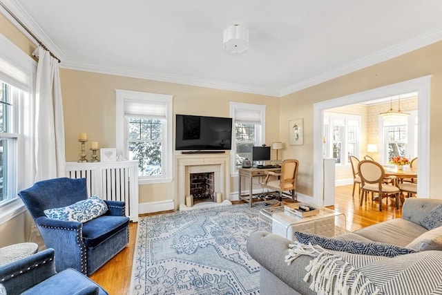 living room featuring ornamental molding and light hardwood / wood-style flooring