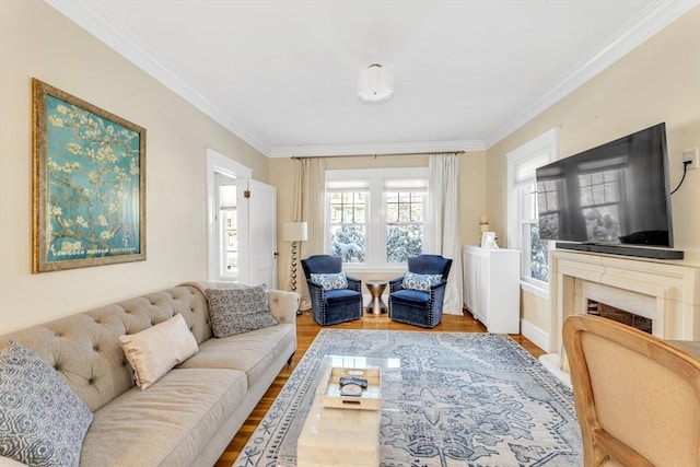 living room with hardwood / wood-style flooring, ornamental molding, and a premium fireplace