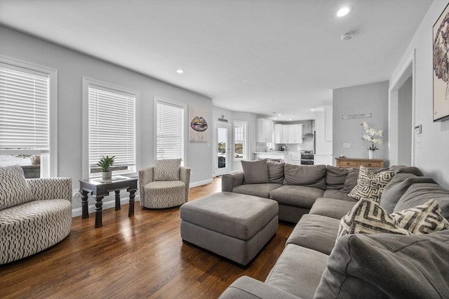 living room featuring dark hardwood / wood-style flooring