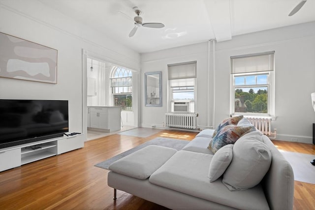 living room with radiator heating unit, ceiling fan, beam ceiling, and light hardwood / wood-style flooring