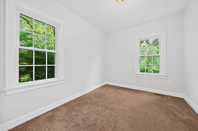 spare room with carpet flooring