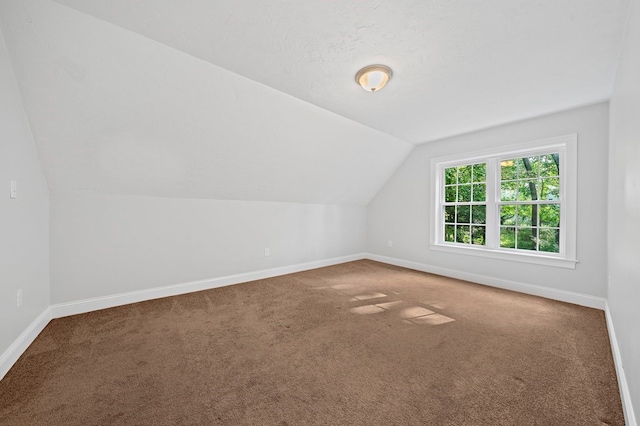 additional living space featuring carpet floors and lofted ceiling