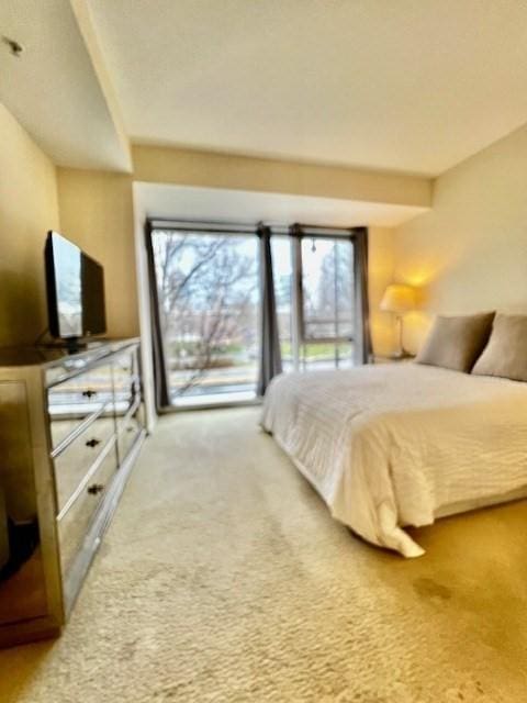 2 Earhart Unit 121, Cambridge, MA 02141 - bedroom featuring carpet and access to exterior