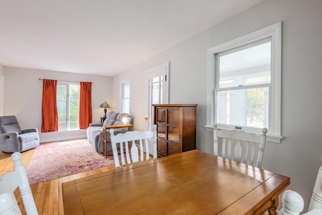 dining room with hardwood / wood-style flooring