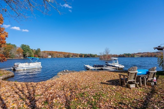 61 Chickering Rd, Spencer, MA 01562 - dock featuring a water view