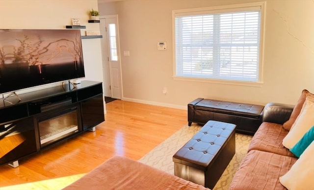 living room featuring light hardwood / wood-style flooring