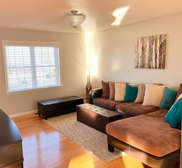 living room featuring hardwood / wood-style flooring