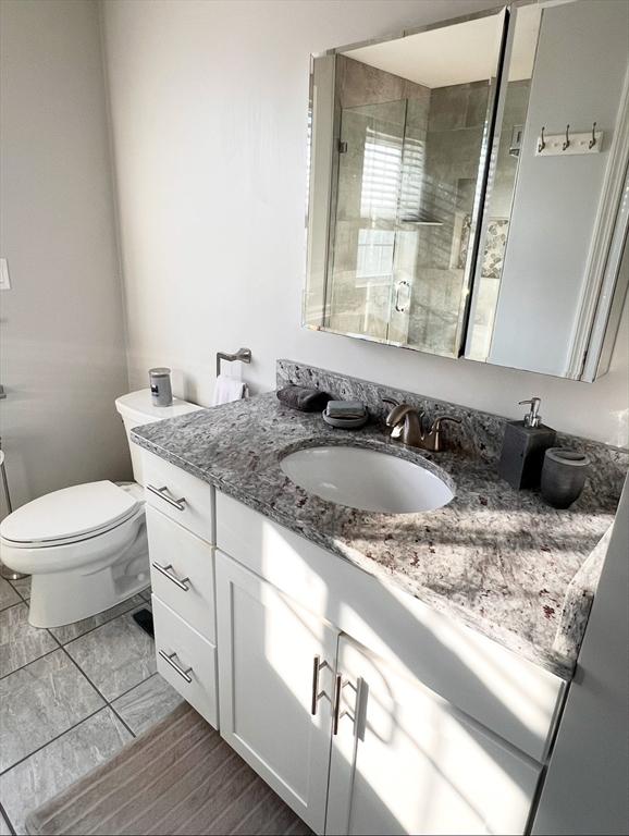 bathroom featuring vanity, toilet, and a shower with door