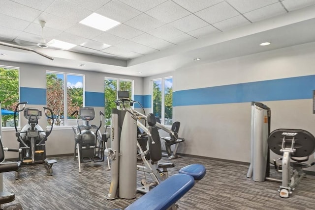 workout area with carpet, baseboards, a paneled ceiling, and healthy amount of natural light