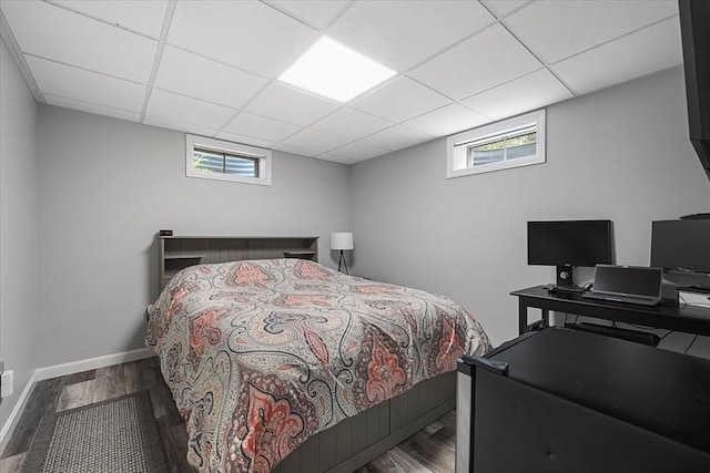 9 Treadwell Ter, Spencer, MA 01562 - bedroom with wood finished floors, a drop ceiling, and baseboards