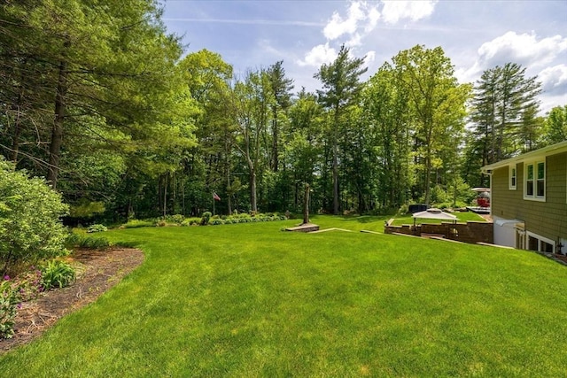 9 Treadwell Ter, Spencer, MA 01562 - view of grassy yard