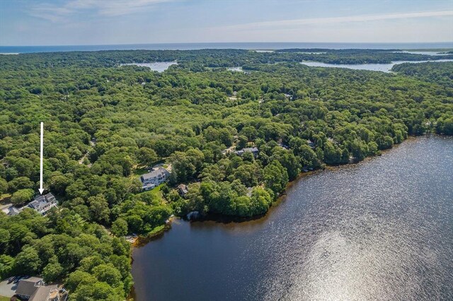 10 Lake Farm Ln, Orleans, MA 02653 - bird's eye view of a forest and a nearby body of water
