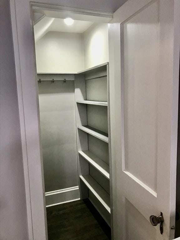 walk in closet with dark wood finished floors