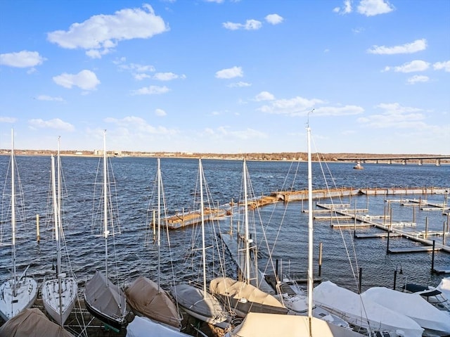 dock area with a water view