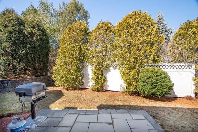 view of yard with fence and a patio area