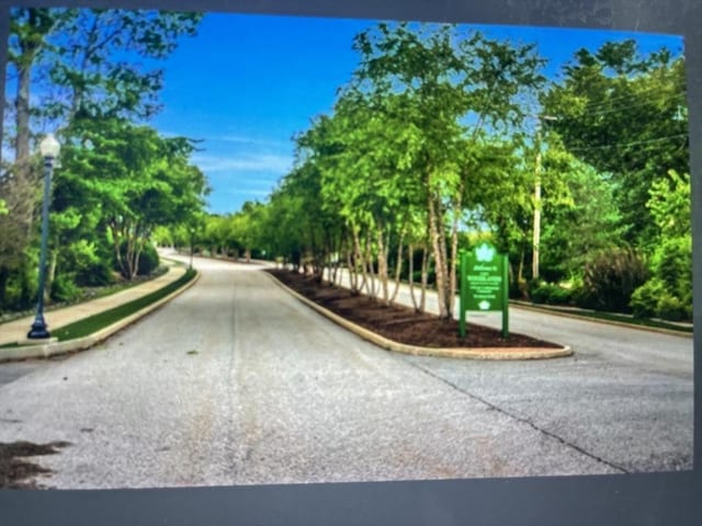 view of road with curbs, sidewalks, and street lighting