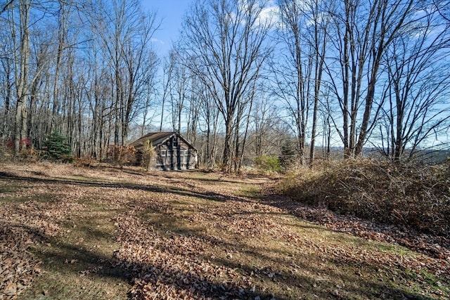 view of yard featuring a storage unit