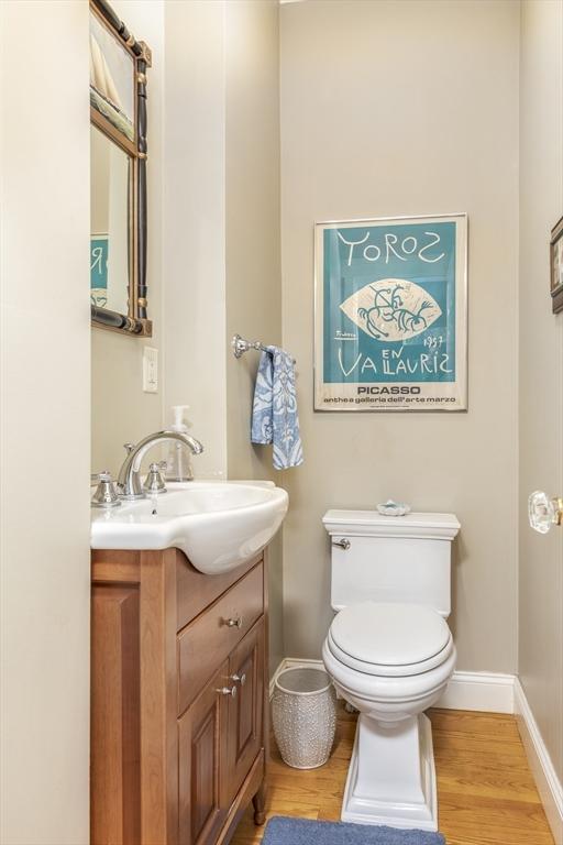 bathroom with vanity, wood-type flooring, and toilet