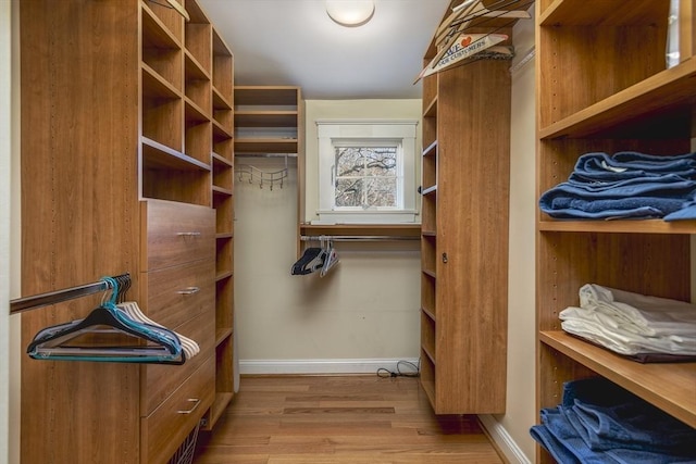 spacious closet with light wood-type flooring