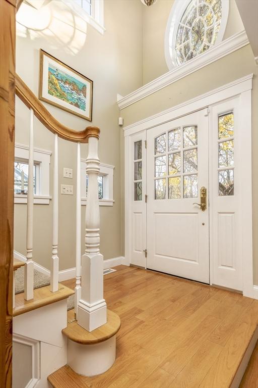 foyer featuring ornamental molding, light hardwood / wood-style floors, and a healthy amount of sunlight