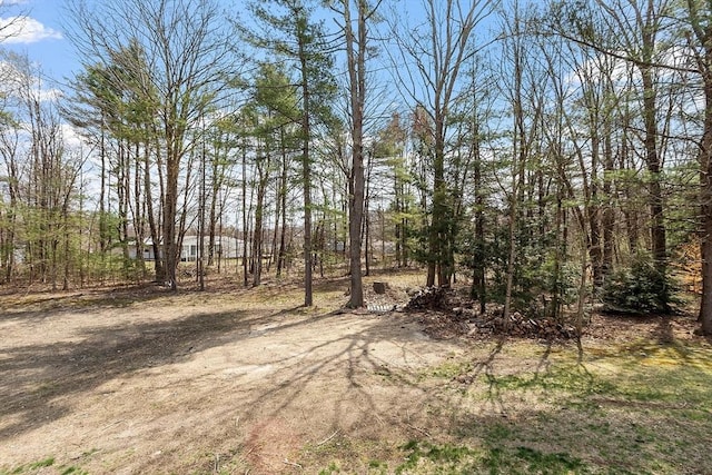 view of local wilderness