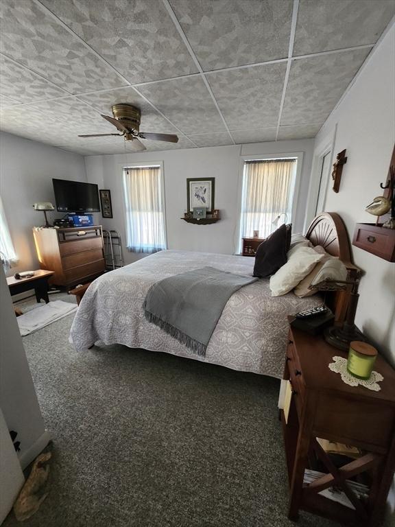 carpeted bedroom with multiple windows and ceiling fan