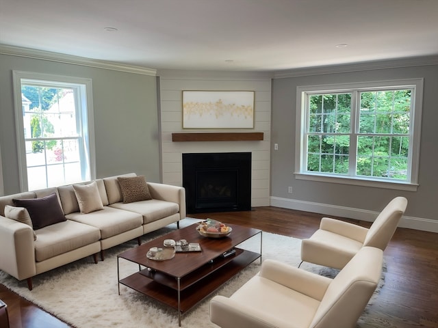 living room with hardwood / wood-style flooring, a large fireplace, and a wealth of natural light