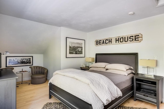 23 Matt Hoxie Trl Unit 23, Plymouth, MA 02360 - bedroom with light wood-style flooring and baseboards