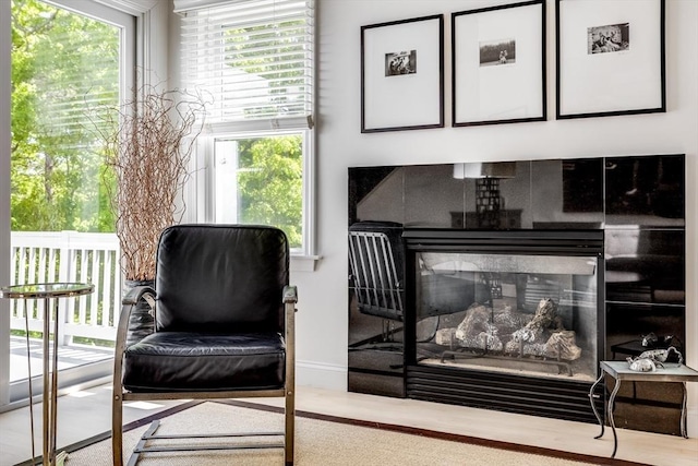 23 Matt Hoxie Trl Unit 23, Plymouth, MA 02360 - view of living area