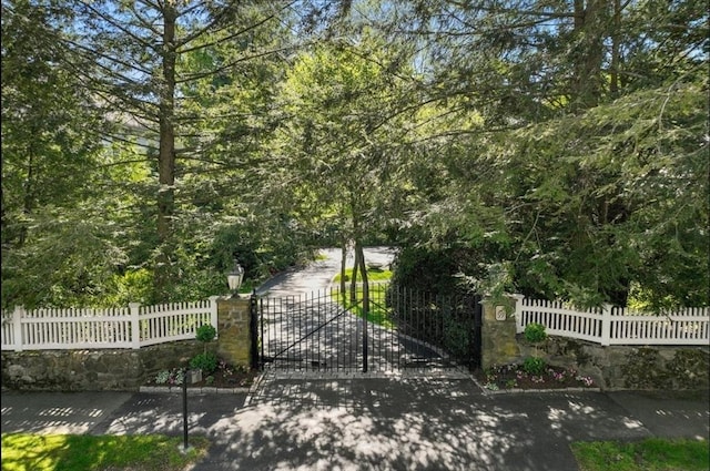 view of gate with a fenced front yard