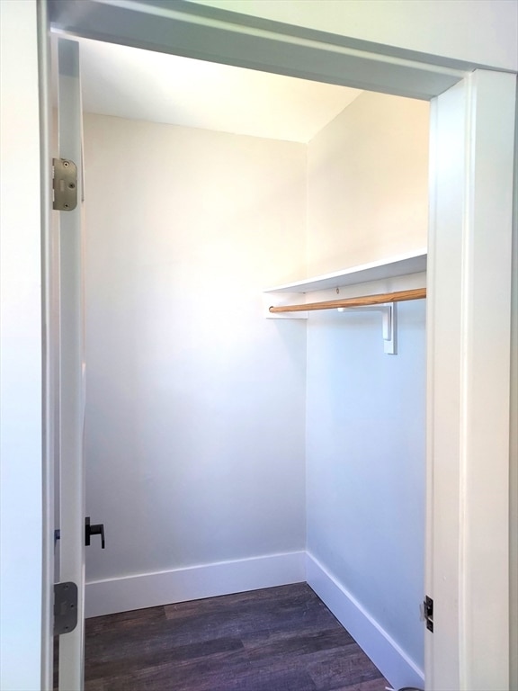 walk in closet with dark hardwood / wood-style floors