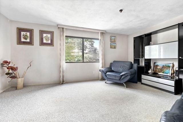 24 Crestview Dr Unit 24, Malden, MA 02148 - sitting room with carpet flooring