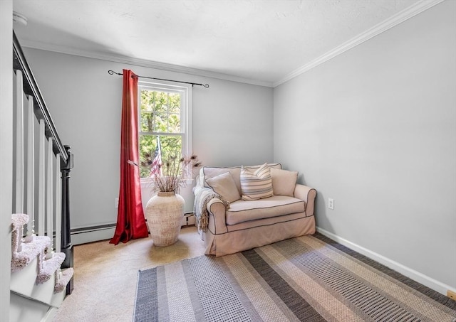 28 Old Farm Rd, Hopkinton, MA 01748 - living area with carpet, a baseboard heating unit, ornamental molding, and baseboards