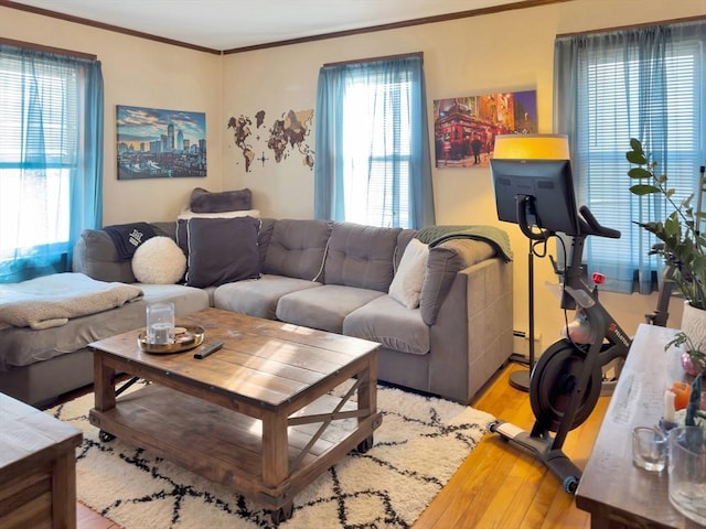 living area featuring light wood finished floors, ornamental molding, and baseboard heating