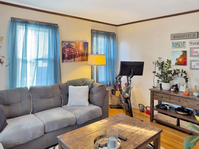 living area with ornamental molding and light wood-type flooring