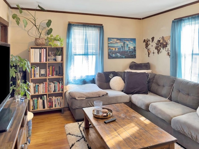 living room featuring light wood-style floors, a wealth of natural light, and ornamental molding