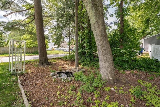 226 Dutchess St, Springfield, MA 01129 - view of yard