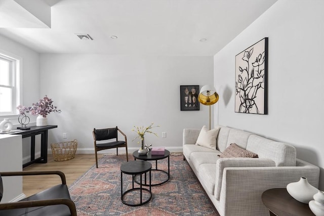 living room with wood-type flooring