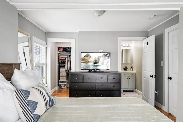 bedroom featuring a closet, a sink, baseboards, and a walk in closet