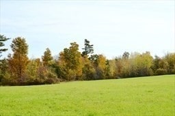 Listing photo 3 for LOT89 Paige Hill Rd, Brimfield MA 01010