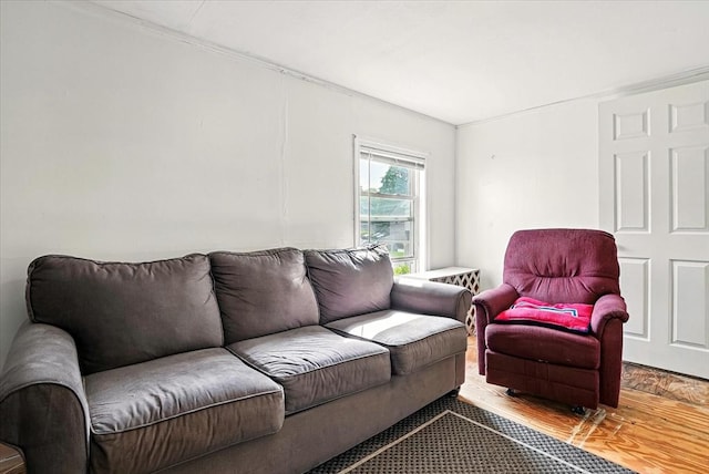 22 Douglas Ave, Maynard, MA 01754 - living room with wood finished floors