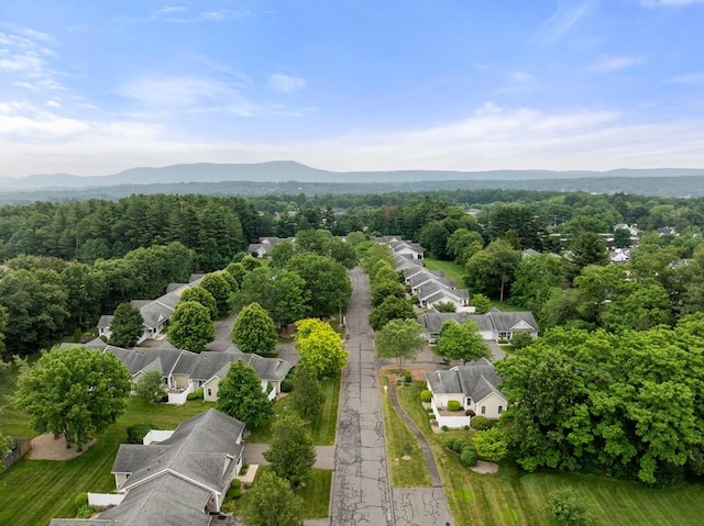 22 Pomeroy Meadow Rd Unit 4, Southampton, MA 01073 - aerial view of residential area featuring a mountain backdrop and a heavily wooded area