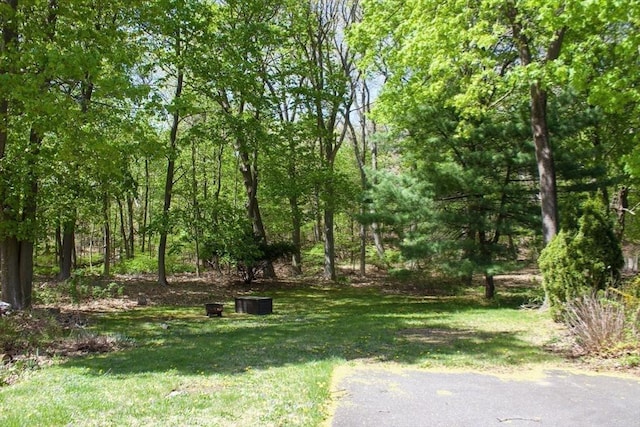 374 Swains Pond Ave, Melrose, MA 02176 - view of green lawn