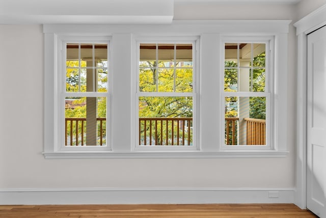 doorway featuring light hardwood / wood-style floors and plenty of natural light