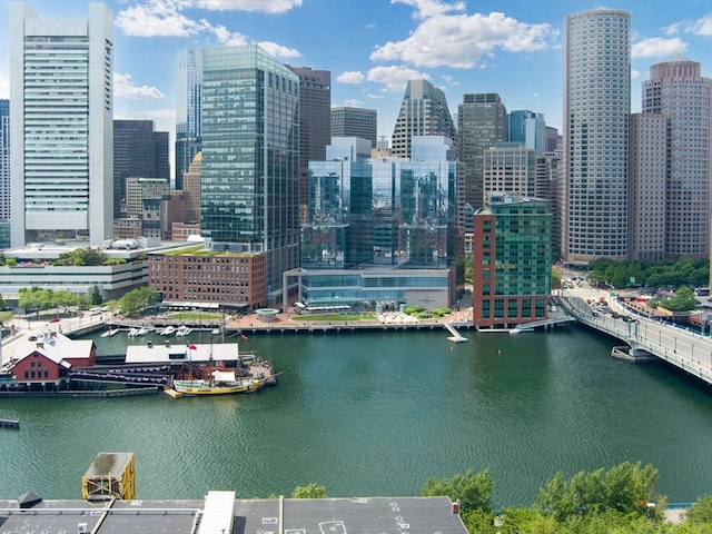 500 Atlantic Ave Unit 16R, Boston, MA 02210 - skyline view with a large body of water